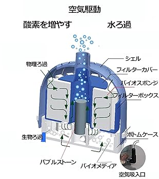 ポンさん専用 オーダーイモリウム水槽 Amazon | OsAtNb 水槽 フィルター アクアリウム フィルター 水槽